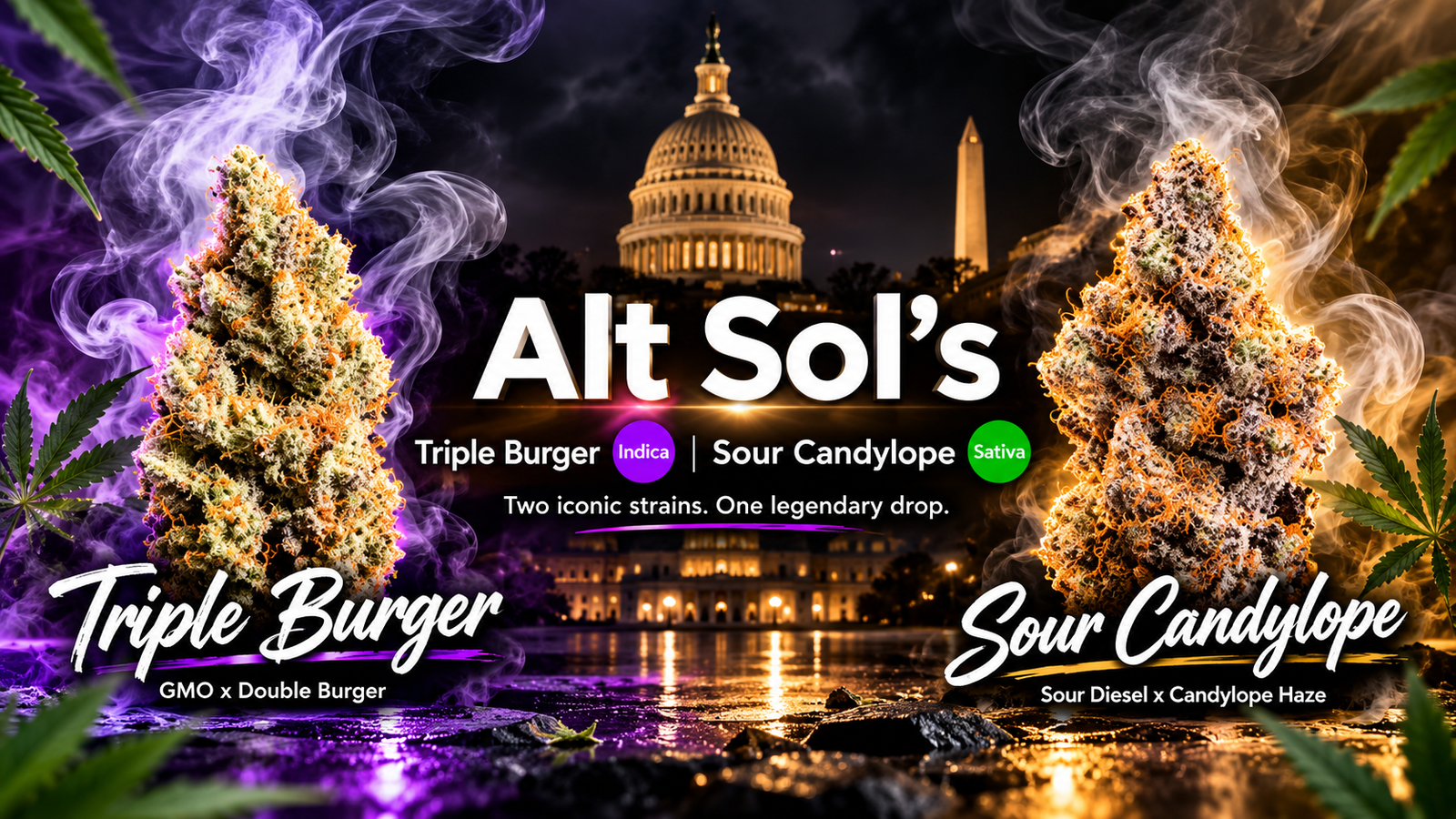Alternative Solutions Capitol Cannabis product lineup